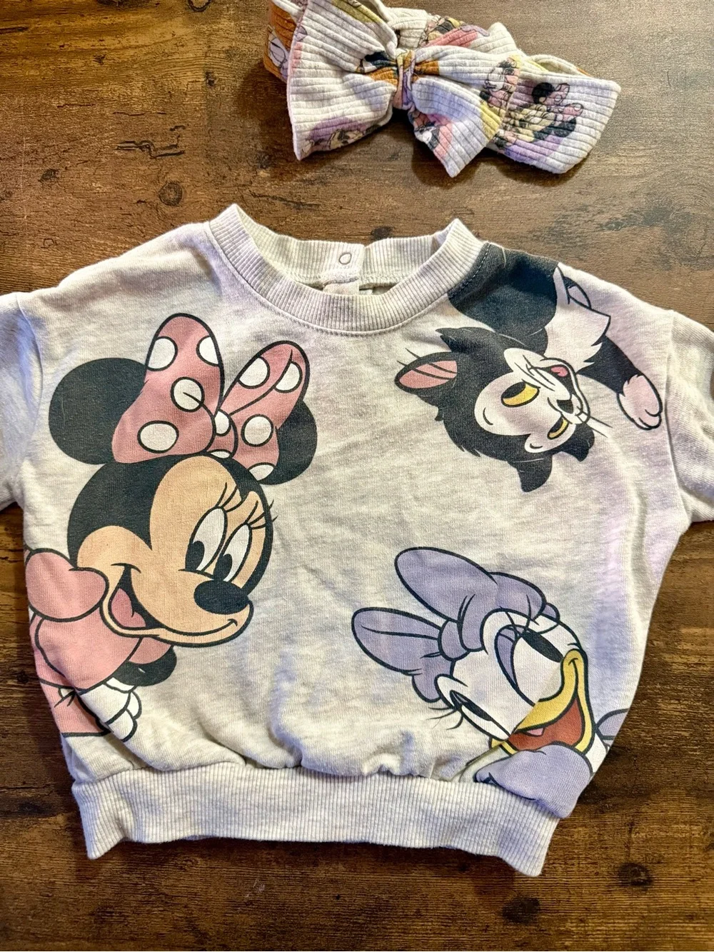 Disney Pastel Pink & Lavender Minnie, Daisy & Figaro Pullover